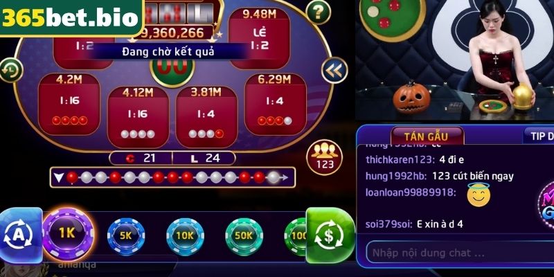 Xóc Đĩa Online 365Bet Trải Nghiệm Sòng Bạc Đỉnh Cao Trong Tay 3 Ghi chép và phân tích lịch sử kết quả cược